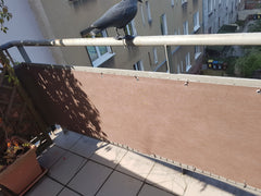 Poznań