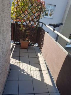 Poznań