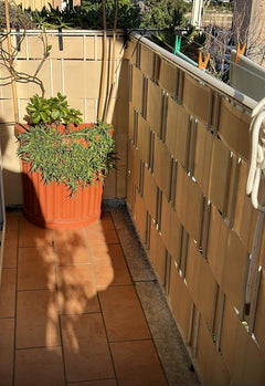Włochy, Rimini