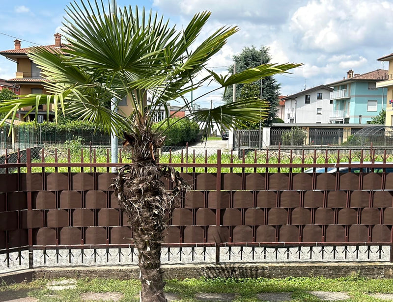 Włochy, Rimini