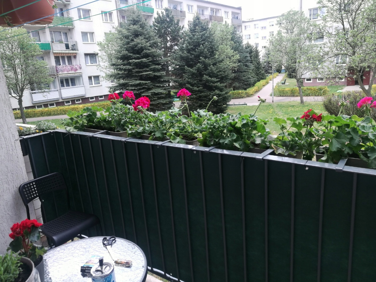 realizacja - zielona osłona balkonowa